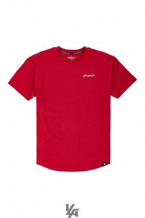 Camisas YoungLA Autobiography Tees Hombre Rojas | 04QBPRUTH