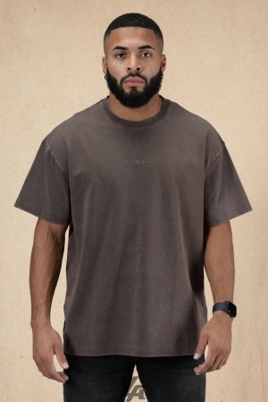 Camisas YoungLA Essential Oversized Tee Hombre Marrones Azules | 79ZMEKJRV