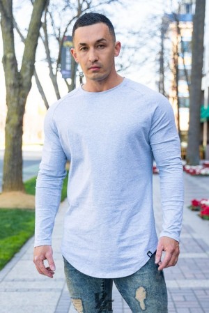 Camisas YoungLA Perfect Raglan Long Sleeve Shirts Hombre Gris | 46TCEIRMG