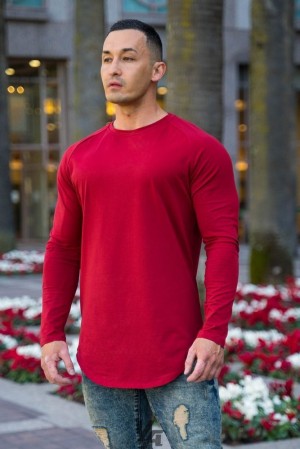 Camisas YoungLA Perfect Raglan Long Sleeve Shirts Hombre Rojas Oscuro | 39TPRYLUW