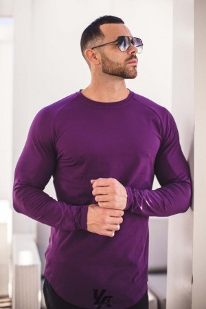 Camisas YoungLA Perfect Raglan Long Sleeve Shirts Hombre Moradas | 35PRGKZUE