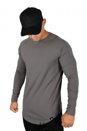Camisas YoungLA Perfect Raglan Long Sleeve Shirts Hombre Gris | 24HIFMQDW
