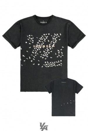 Camisas YoungLA The Flock Tees Hombre Flock Bloc | 16BNKILFE