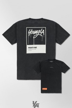 Camisas YoungLA Washed Drip Tees Hombre Pantone Drip | 54CREJQTY