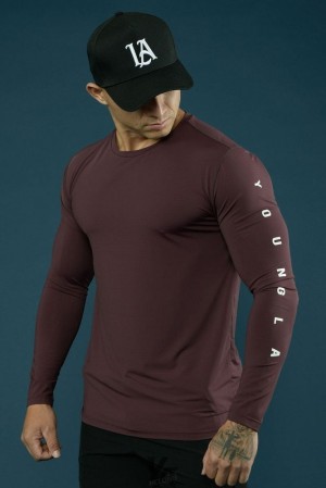 Camisas YoungLA Zephyr Compression Long Sleeves Hombre Marooned | 37EDJUYNA