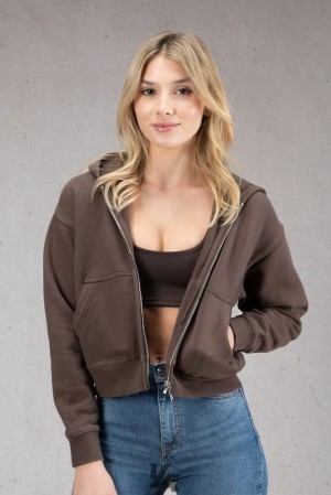Ropa De Abrigo YoungLA Essential Zip-up Hoodie Mujer Marrones | 69DGLVCXF