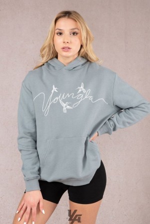 Ropa De Abrigo YoungLA Hummingbird Oversized Hoodie Mujer Azules | 90BGPVNHC