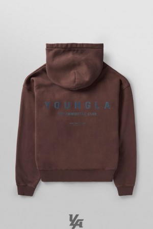 Ropa De Abrigo YoungLA Immortal Club Hoodies Hombre Marrones Azules | 47LKEMFXQ