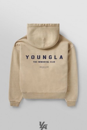Ropa De Abrigo YoungLA Immortal Club Hoodies Hombre Marrones Azules | 21UBKJNXP