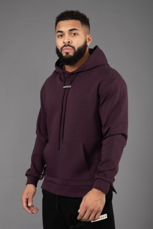 Ropa De Abrigo YoungLA Pro-tech Hoodies Hombre Moradas | 79YZAFULC