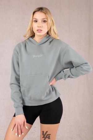 Ropa De Abrigo YoungLA Staple Hoodie Mujer Slate | 68JWVLCYM