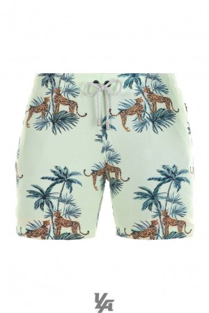 Short YoungLA Abstract Swim Shorts '22 Hombre Tropical Cheetah | 51OFZRVIL