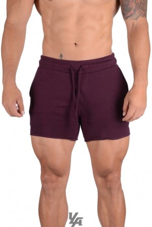 Short YoungLA Bodybuilding French Terry Shorts Hombre Moradas | 49PNSABHG