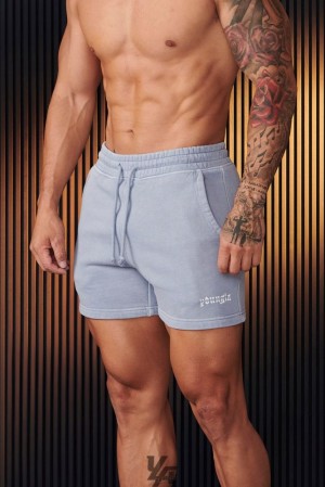 Short YoungLA Chrome Shorts Hombre Azules Azules | 63ZLUXHDM