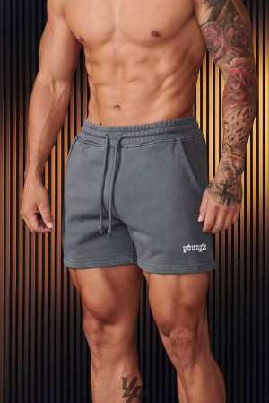 Short YoungLA Chrome Shorts Hombre Gris Azules | 47QRKDOPJ