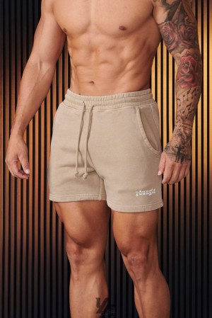 Short YoungLA Chrome Shorts Hombre Marrones Azules | 09IWLRKZB