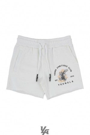 Short YoungLA Dedication Shorts Hombre Blancas | 80BVAUSZK