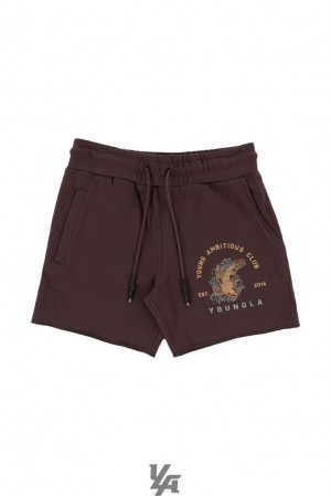 Short YoungLA Dedication Shorts Hombre Marrones | 62GUAMKLS