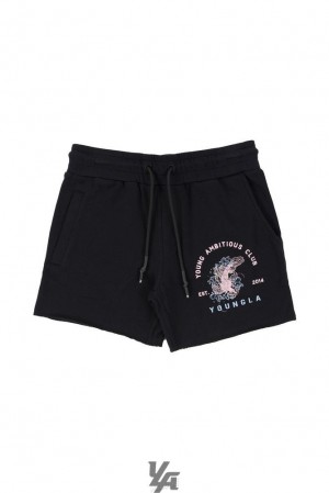 Short YoungLA Dedication Shorts Hombre Negras | 08GRMZLVB