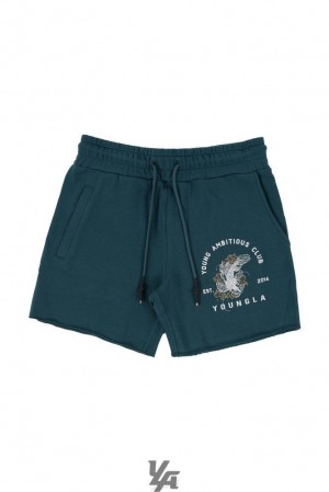 Short YoungLA Dedication Shorts Hombre Turquesa | 03YCUTOGD