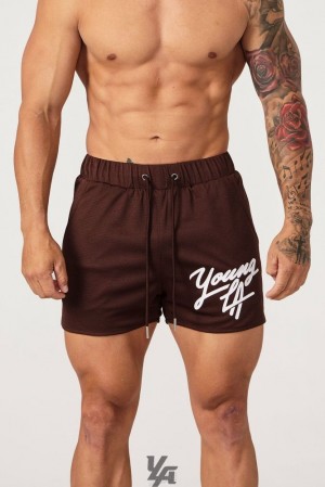 Short YoungLA Legacy Shorts Hombre Marrones | 45FXRZIQG