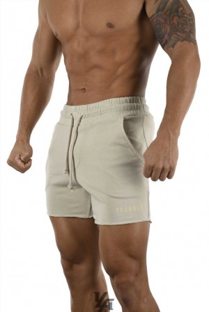 Short YoungLA Shorts Pigment Washed Hombre Marrones Azules | 51GFUMHOX