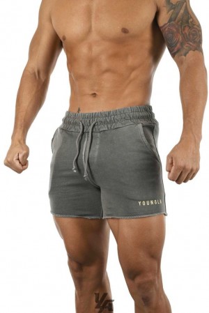 Short YoungLA Shorts Pigment Washed Hombre Gris Azules | 78CHMDOAB