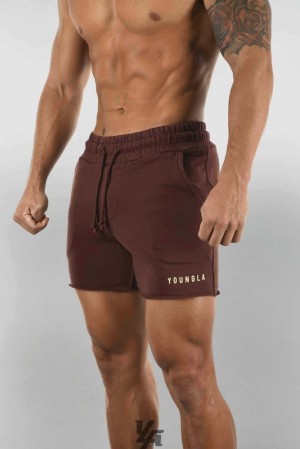 Short YoungLA Shorts Pigment Washed Hombre Marrones Azules | 61HVCABTG