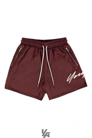 Short YoungLA Signature Shorts Hombre Marrones | 52IYFVWOK