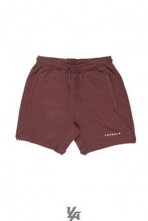 Short YoungLA The Perfect Shorts Hombre Marrones | 46CORTSAW