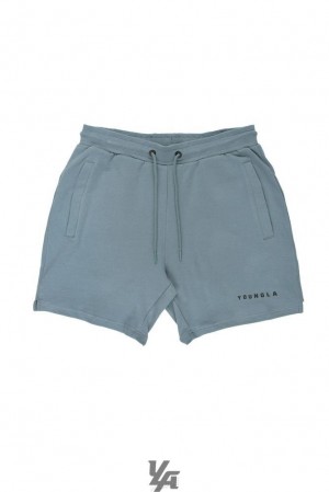Short YoungLA The Perfect Shorts Hombre Gris Azules | 38XUOIWKR
