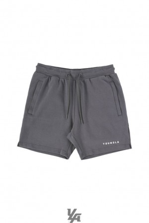 Short YoungLA The Perfect Shorts Hombre Gris | 17AZWJBQT