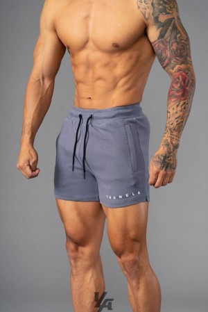 Short YoungLA The Perfect Shorts Hombre Gris | 03QROULSV