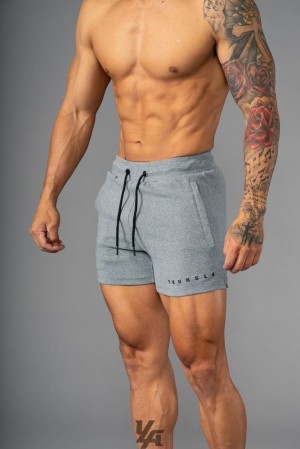 Short YoungLA The Perfect Shorts Hombre Gris | 63XFLQVCT