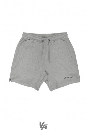 Short YoungLA The Perfect Shorts Hombre Gris | 60FQWIHKA