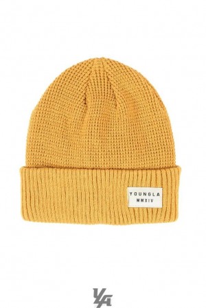 Sombreros YoungLA Cuffed Beanies Hombre Amber | 27PYHLCON