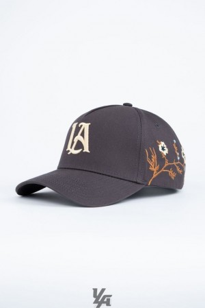 Sombreros YoungLA La Branch Hats Hombre Negras | 20GQACMRD