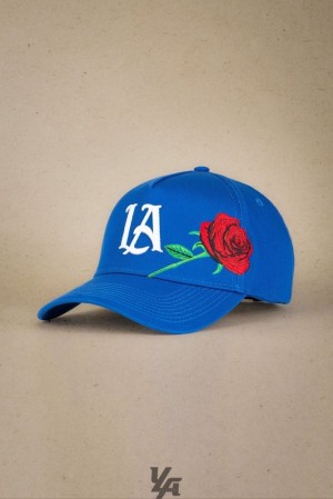 Sombreros YoungLA Rose Hats Hombre Azul Real Azules | 18DSYUQHA