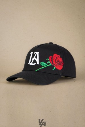 Sombreros YoungLA Rose Hats Hombre Negras | 16ZGCLSUH
